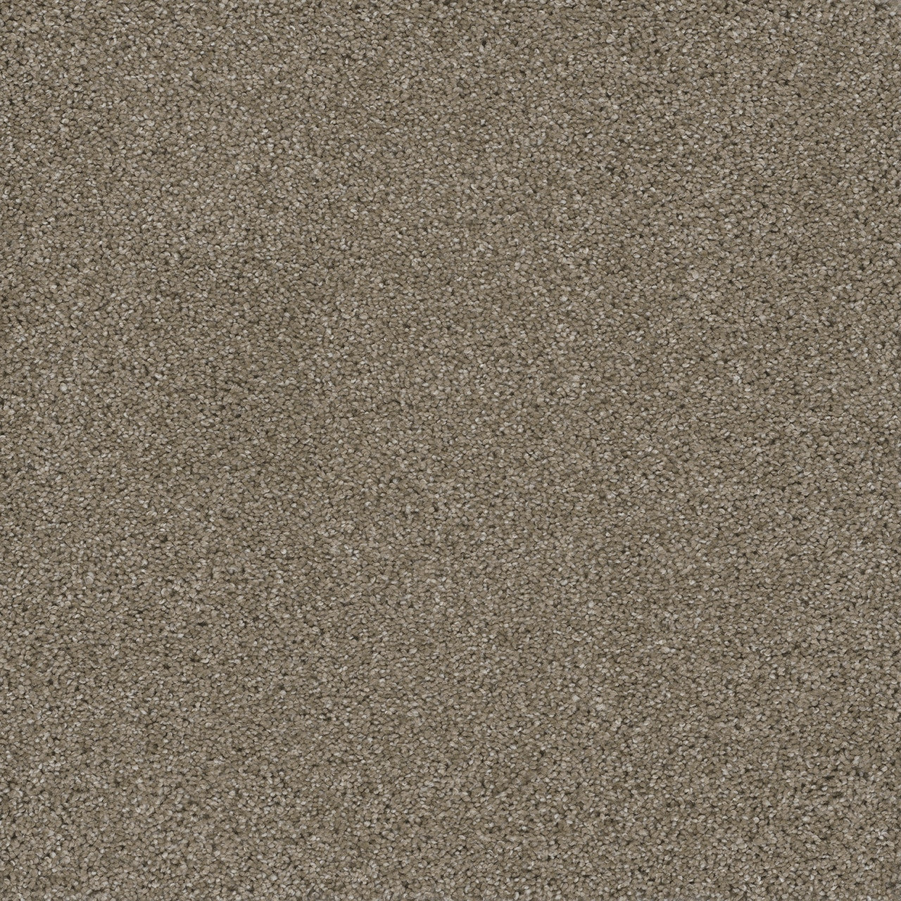 EZ Lay Plush - $3.99 per SF